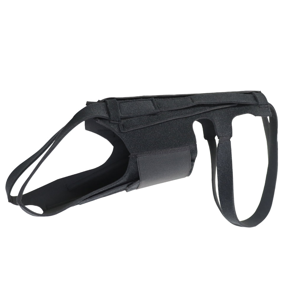 therapeutic back support harness for IVDD recovery on a white background