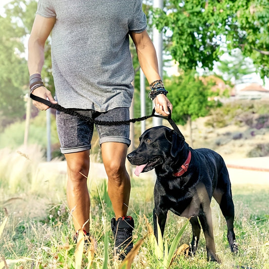 Durable And Safe Retractable Leash For Large Dogs - Anti-burst Technology For Added Security