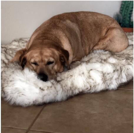 ZD# BEDDING - Pet Dog Supplies Faux Fur Thick Dog Mat for Large Dogs