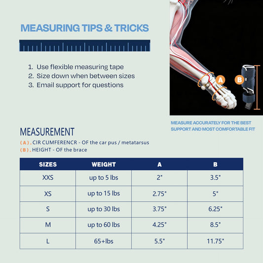 Cat Foreleg Injury Support Brace