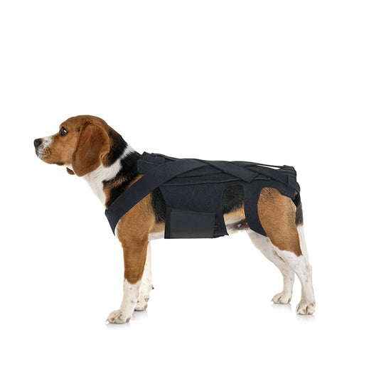 Therapeutic back support harness for dogs with IVDD and spinal issues