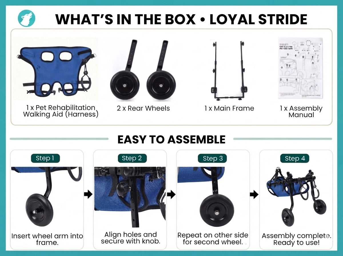 Alt Text: What's in the box – Loyal Stride Cart: dog wheelchair frame, 2 rubber wheels, 1 assembly manual, and support straps