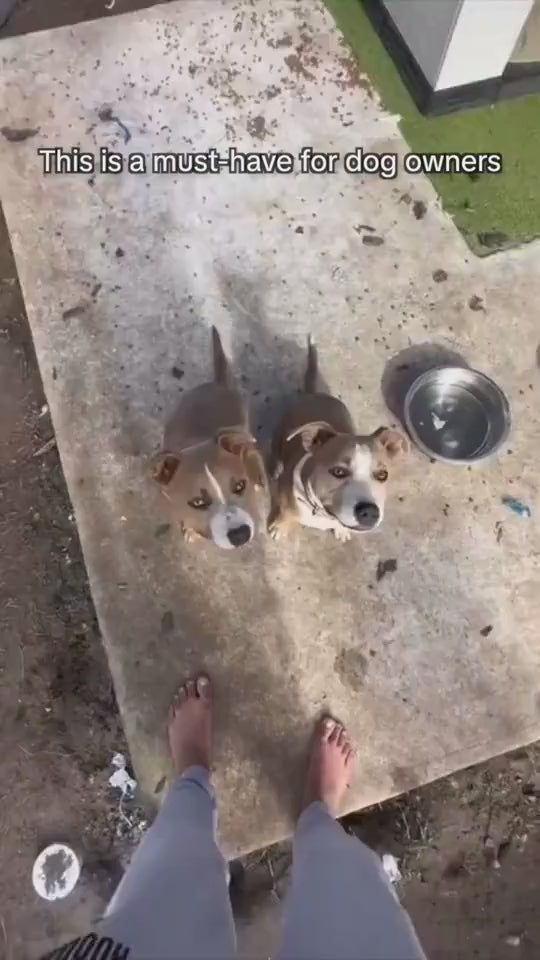 3-in-1 dog water cup video