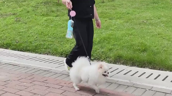 3-in-1 dog water cup video