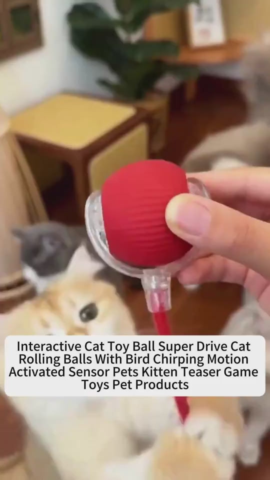 Video of the Auto-Roll Interactive Pet Ball in Action - Touch-Activated Rolling 