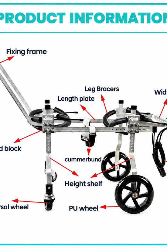 Diagram identifying the QuadStride wheelchair frame, supports and wheels