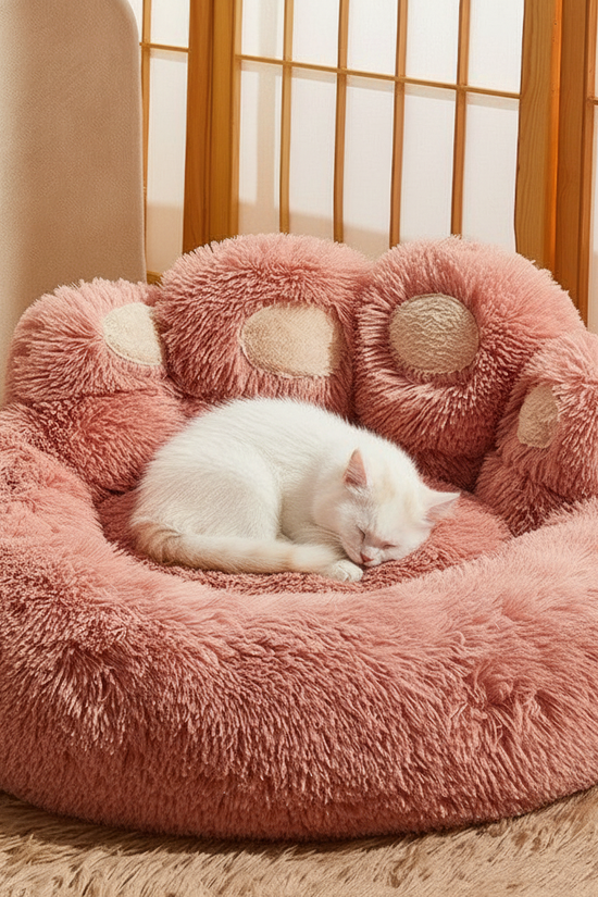 Small cat in pink bed